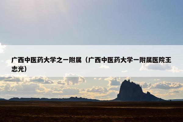 广西中医药大学之一附属(广西中医药大学一附属医院王志光)
