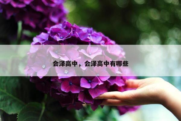 会泽高中,会泽高中有哪些