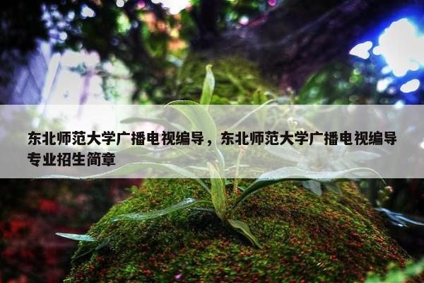 东北师范大学广播电视编导,东北师范大学广播电视编导专业招生简章