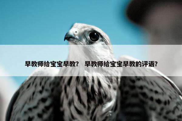 早教师给宝宝早教? 早教师给宝宝早教的评语?