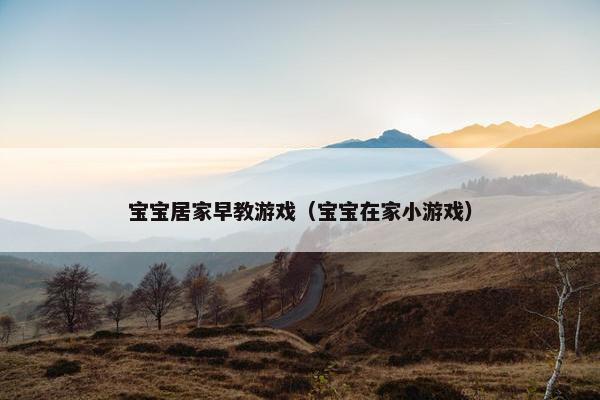 宝宝居家早教游戏(宝宝在家小游戏)