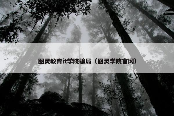 图灵教育it学院骗局(图灵学院官网)