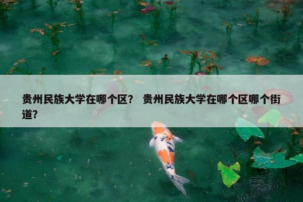 贵州民族大学在哪个区? 贵州民族大学在哪个区哪个街道?