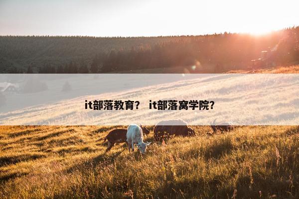 it部落教育? it部落窝学院?
