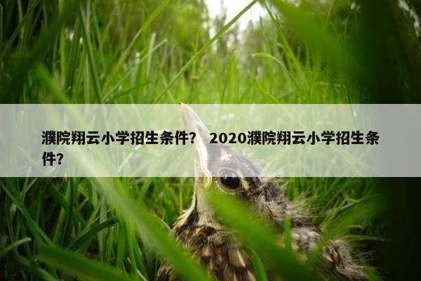 濮院翔云小学招生条件? 2020濮院翔云小学招生条件?