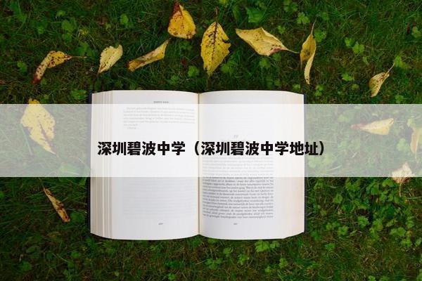 深圳碧波中学(深圳碧波中学地址)