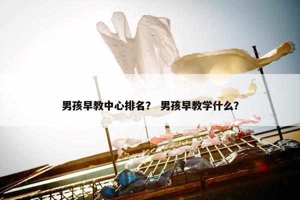 男孩早教中心排名? 男孩早教学什么?