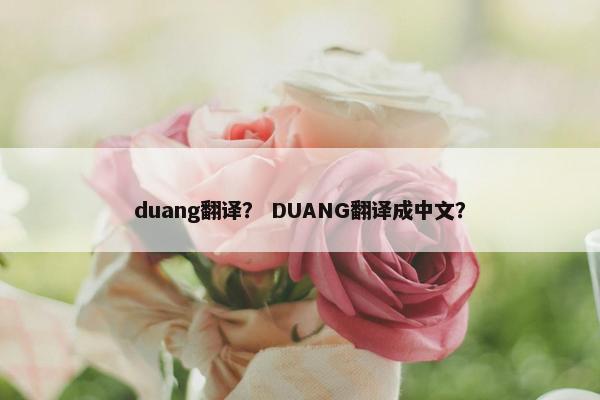 duang翻译？ DUANG翻译成中文？