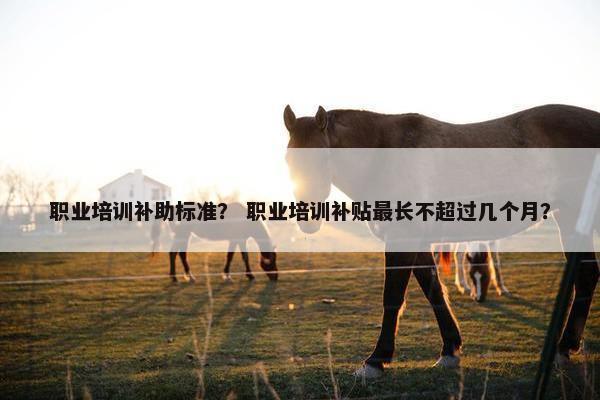 职业培训补助标准? 职业培训补贴最长不超过几个月?