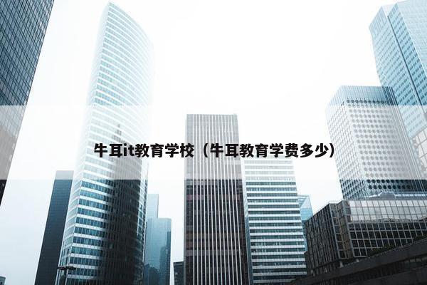 牛耳it教育学校(牛耳教育学费多少)